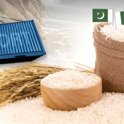 Premium Quality Basmati Rice Export by Usman Enterprises Pakistan