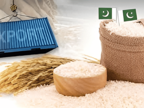 The Future of Premium Pakistani Rice Exports